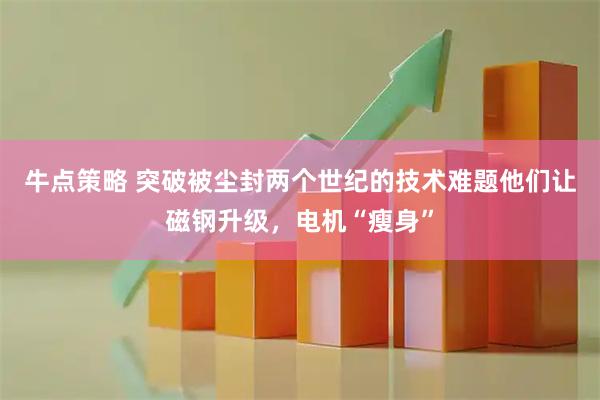 牛点策略 突破被尘封两个世纪的技术难题他们让磁钢升级，电机“瘦身”