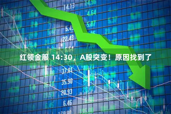 红领金服 14:30，A股突变！原因找到了