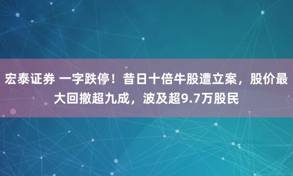 宏泰证券 一字跌停！昔日十倍牛股遭立案，股价最大回撤超九成，波及超9.7万股民